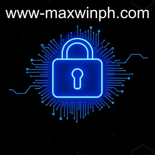 Understanding Privacy Policy in the Digital Age: Focus on MAXWINPH
